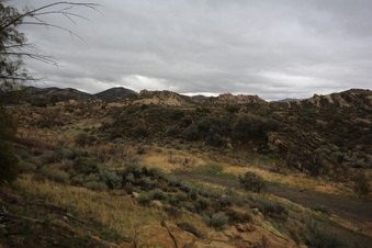 Enlarge photo 41