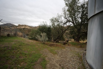 Enlarge photo 62