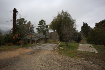 Enlarge photo 66