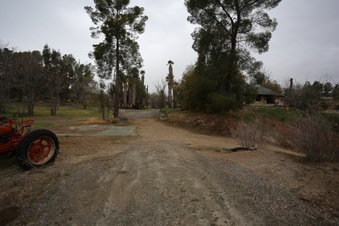 Enlarge photo 73
