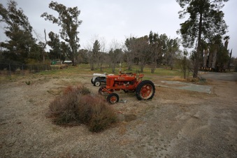 Enlarge photo 74