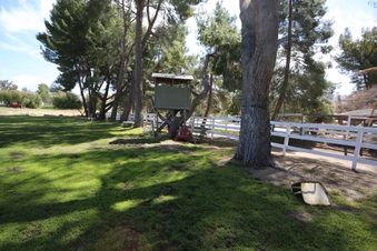 Enlarge photo 27