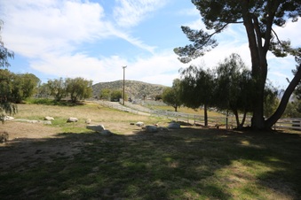 Enlarge photo 52