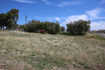 Enlarge photo 53