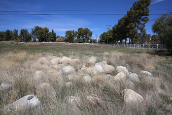 Enlarge photo 56