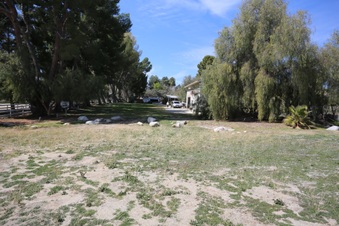 Enlarge photo 59