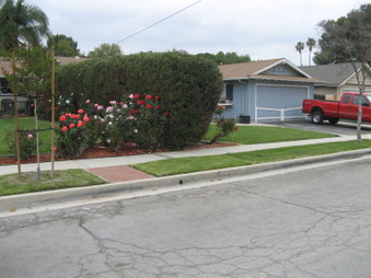 Enlarge photo 6