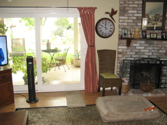 Enlarge photo 16