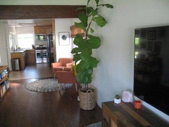 Enlarge photo 15