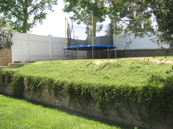Enlarge photo 37