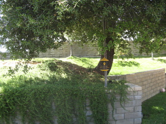 Enlarge photo 38