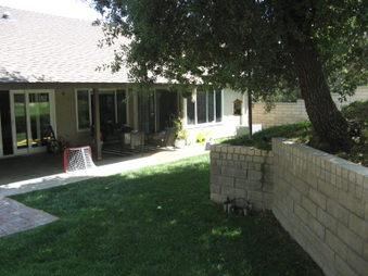Enlarge photo 41