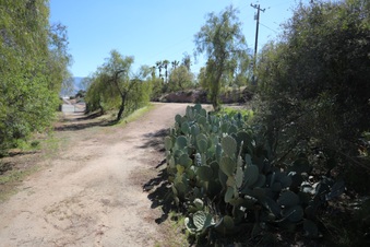 Enlarge photo 13