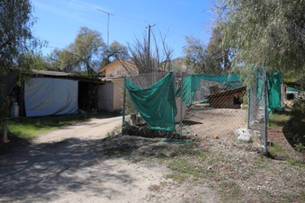 Enlarge photo 16
