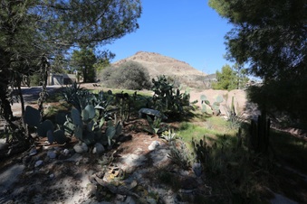 Enlarge photo 20