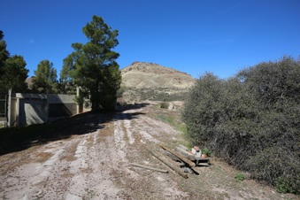Enlarge photo 24
