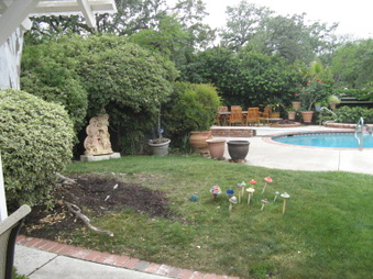 Enlarge photo 49