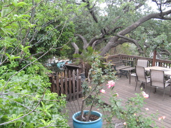 Enlarge photo 55