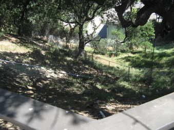 Enlarge photo 39