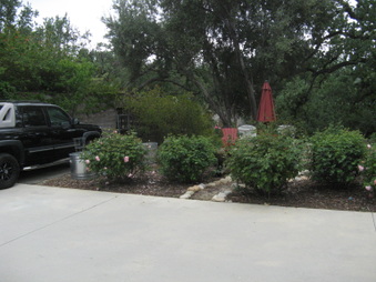 Enlarge photo 28