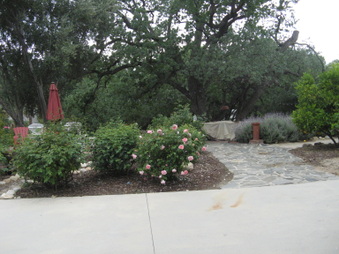 Enlarge photo 29