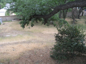 Enlarge photo 32