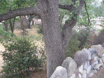 Enlarge photo 33
