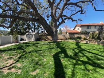 Enlarge photo 32