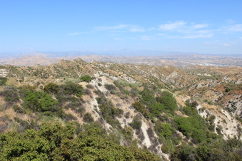 Enlarge photo 104