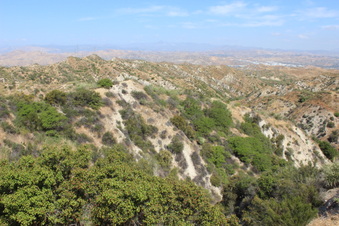 Enlarge photo 105