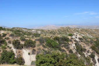 Enlarge photo 107