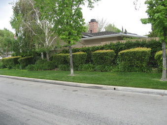 Enlarge photo 29