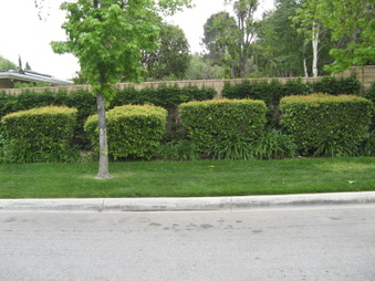 Enlarge photo 30