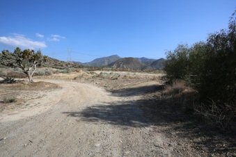 Enlarge photo 20