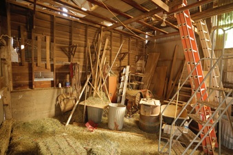 Enlarge photo 30
