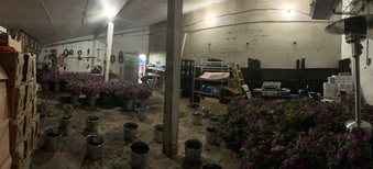 Enlarge photo 2