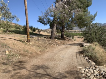 Enlarge photo 32