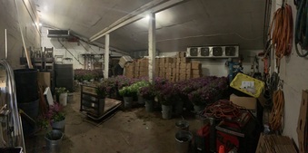 Bloom Ranch of Acton
