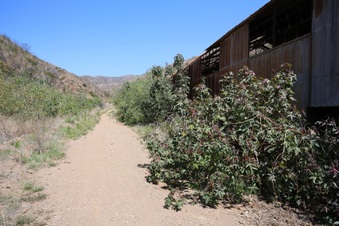 Enlarge photo 3