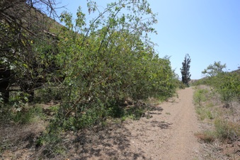 Enlarge photo 6