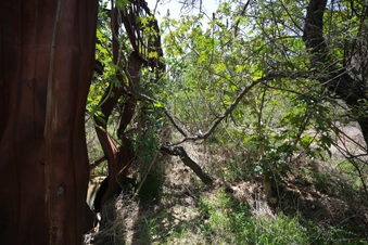 Enlarge photo 9