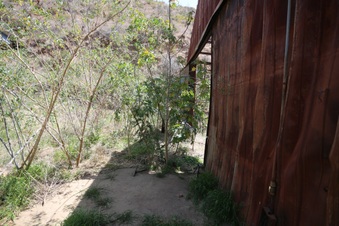 Enlarge photo 10