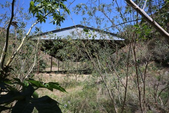 Enlarge photo 12