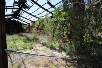 Enlarge photo 13