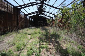 Enlarge photo 14