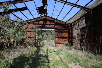 Enlarge photo 16