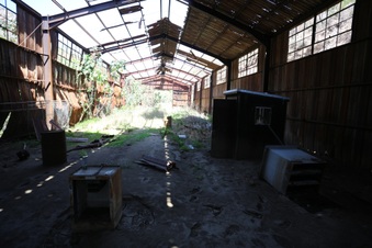 Enlarge photo 24