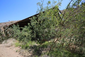 Enlarge photo 29
