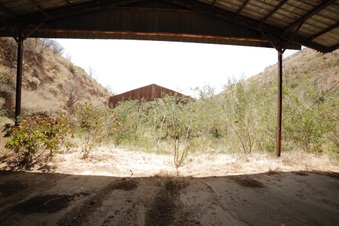 Enlarge photo 37
