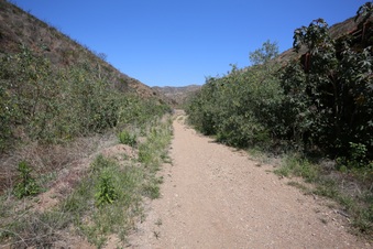 Enlarge photo 38